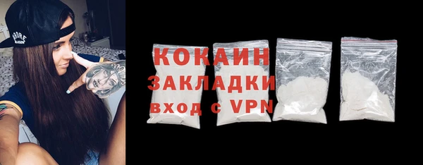 бошки Бронницы