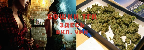 бошки Бронницы